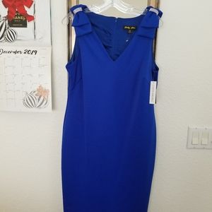 NWT Beautiful Royal Blues Dress Sz. 14